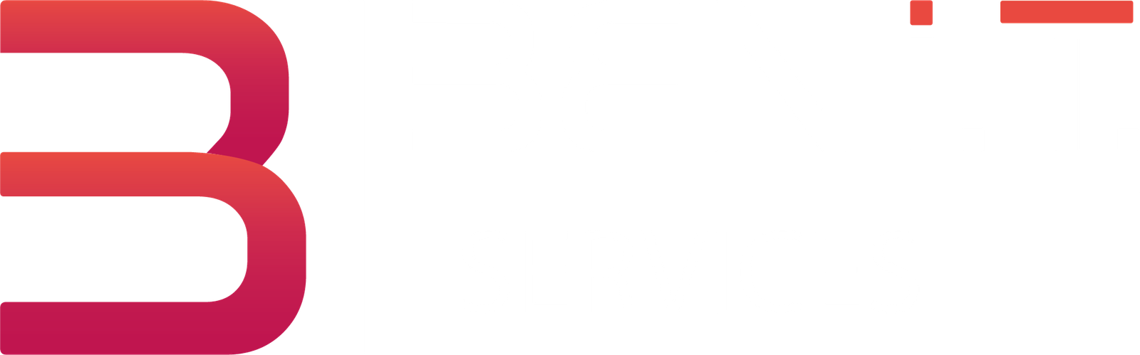 Ben I.T. Services
